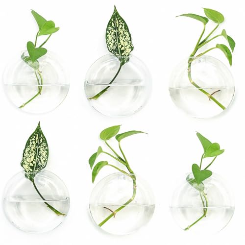 Vumdua Wandbehang Pflanzgefäße Glas Pflanzgefäße Hängende Glas-Terrarium, Glas-Pflanzgefäße, perfekt für die Vermehrung von Hydrokulturpflanzen, Haus, Garten, Hochzeitsdekoration, 6er-Set von Vumdua