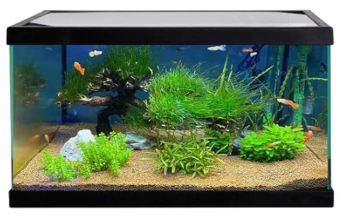 VYDRA PLIKO Acquario in vetro 20 litri / 40x20x25h cm (Nero) von Vydra