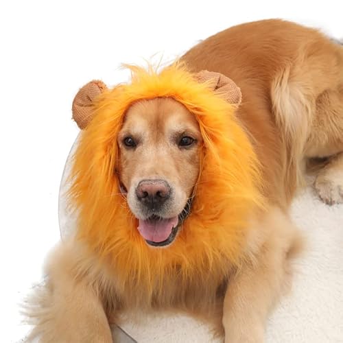 Vyloky Löwenmähne Perücke für Hund mit Ohren Haustier einstellbar Fantasie Löwe Haar Hund Kleidung Kleid für Halloween Weihnachten Ostern Festival Party Aktivität (Hundemähne - Orange, L) von Vyloky