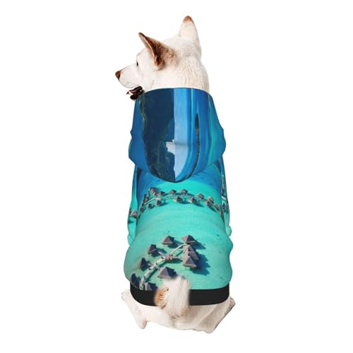 Vyonne Beauty Beach Kapuzen-Sweatshirt für Haustiere, bezauberndes kleines Haustier-Outfit, modisches und gemütliches Kapuzen-Sweatshirt für Ihr geliebtes Haustier von Vyonne