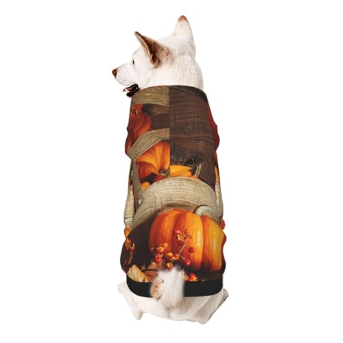 Vyonne Herbst-Kürbis-Kapuzen-Sweatshirt – bezauberndes kleines Haustier-Outfit – modisches und gemütliches Kapuzen-Sweatshirt für Ihr geliebtes Haustier von Vyonne