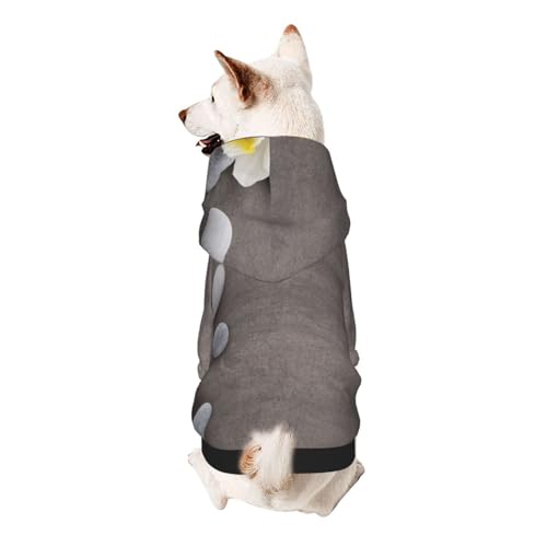 Vyonne Kapuzen-Sweatshirt mit Blume und Stein, bezauberndes kleines Haustier-Outfit, modisches und gemütliches Kapuzen-Sweatshirt für Ihr geliebtes Haustier von Vyonne