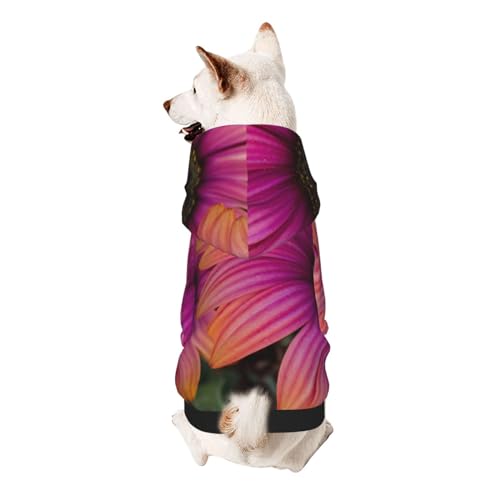 Vyonne Kapuzen-Sweatshirt mit Gänseblümchen-Motiv, niedliches kleines Haustier-Outfit, modisches und gemütliches Kapuzen-Sweatshirt für Ihr geliebtes Haustier, Rosa von Vyonne