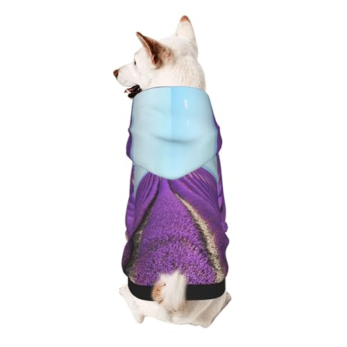 Vyonne Romantisches Lavendel-Kapuzen-Sweatshirt – entzückendes kleines Haustier-Outfit – modisches und gemütliches Kapuzen-Sweatshirt für Ihr geliebtes Haustier von Vyonne
