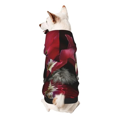 Vyonne Rotes Tulpen-Kapuzen-Sweatshirt – entzückendes kleines Haustier-Outfit – modisches und gemütliches Kapuzen-Sweatshirt für Ihr geliebtes Haustier von Vyonne