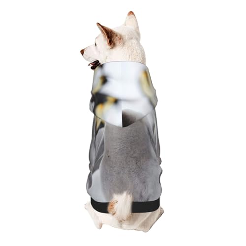 Vyonne Süßes Pinguin-Tiermuster-Kapuzen-Sweatshirt – bezauberndes kleines Haustier-Outfit – modisches und gemütliches Kapuzen-Sweatshirt für Ihr geliebtes Haustier von Vyonne