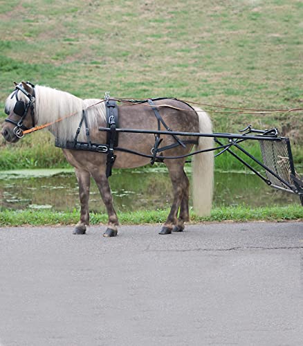 Einspänner Geschirr Economic, Pony von WALDHAUSEN