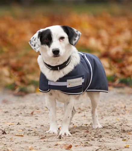 WALDHAUSEN COMFORT Hundedecke, 200 g, 45 cm, blau von WALDHAUSEN