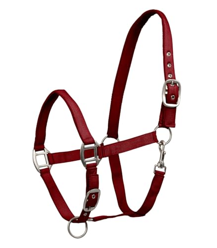 Waldhausen Perlonhalfter Satin, Bordeaux, Shetty von WALDHAUSEN