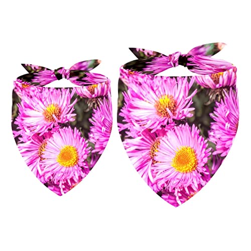 Hundehalstuch, Motiv: New England Aster, Mädchen, Jungen, Halstuch, Zubehör für kleine, mittelgroße und große Hunde, Welpen, Katzen, Haustiere, 2 Stück von WALLDOR