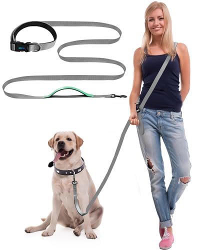 WANFIRE Freihandleinen Hundeleine für Große Mittelgroße Hunde, Fahrradleine Schleppleine Umhängeleine Joggingleine Hunde Zum Gehen Joggen Laufen Training Dog Leash (1.5-2.7m) von WANFIRE