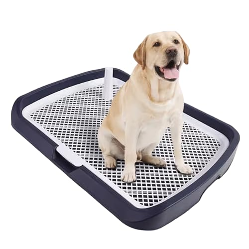 Hundetöpfchen-Toilette,Training Welpen,Welpentöpfchen-Trainingstablett,Abnehmbarer und waschbarer Netz-Hundetöpfchenhalter mit Ständer,65x50x6cm, Indoor-Trainingstoilette kleine(Black) von WANYREN