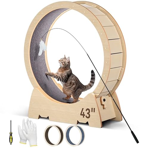 Katzen-Laufrad, 110 cm, großes Laufrad, Katzenlaufband für Indoor-Katzen, mit ultra-langem Katzenspielzeug und 2 abnehmbaren Teppichen von WARDIX