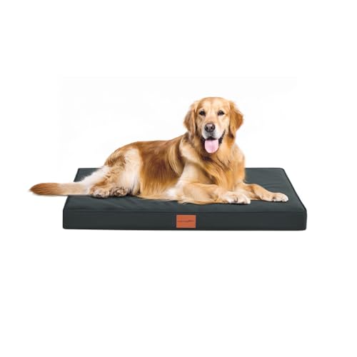 WAVVE Orthopädisches Hundebett, Hundesofa mit Eierkartonschaum für mittelgroße Hunde, 91 x 69 cm, Abnehmbare und Waschbare, rutschfeste Unterseite, Grau von WAVVE