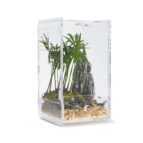 WBHONGHUI Transparentes Terrarium für Reptilien, Acryl, mit Riegel, perfekt für Amphibien und Wirbellose wie Spinnen, Frösche usw., klein, horizontal oder vertikal von WBHONGHUI