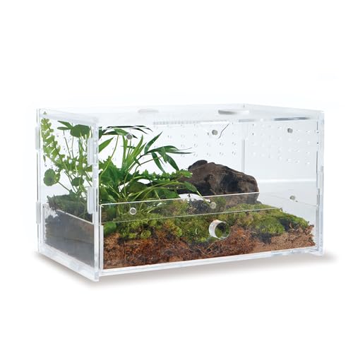 WBHONGHUI Transparentes Terrarium für Reptilien, Acryl, mit Riegel, perfekt für Amphibien und Wirbellose wie Spinnen, Frösche usw., klein, horizontal oder vertikal von WBHONGHUI