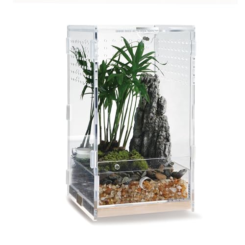 WBHONGHUI Transparentes Terrarium für Reptilien, Acryl, mit Riegel, perfekt für Amphibien und Wirbellose wie Spinnen, Frösche usw., horizontaler oder vertikaler Stil (vertikales Holz, klein) von WBHONGHUI