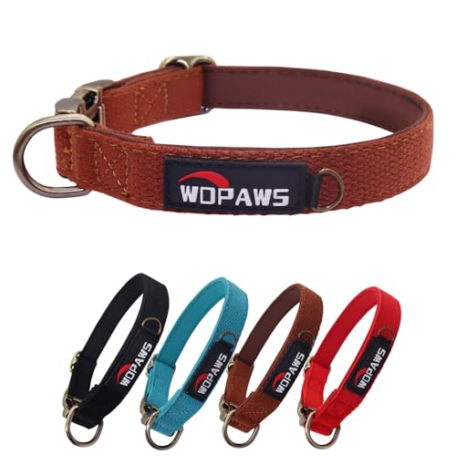 WDPAWS Hundehalsband, Polyester-Baumwoll-Gurtband mit Neopren-Innenseite, Schnellverschluss, bronzefarbene Schnalle, Schnalle für große Hunde, Braun, Größe L von WDPAWS