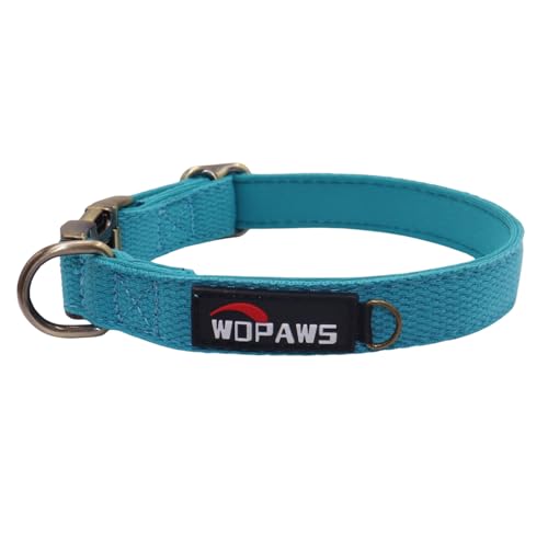 WDPAWS Hundehalsband, Polyester-Baumwoll-Gurtband mit Neopren-Innenseite, Schnellverschluss, bronzefarbene Schnalle, Schnalle für mittelgroße Hunde (Blau, M) von WDPAWS