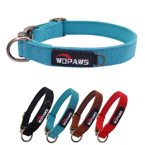 WDPAWS Hundehalsband, Polyester-Baumwoll-Gurtband mit Neopren-Innenseite, Schnellverschluss, bronzefarbene Schnalle für große Hunde, Blau, Größe L von WDPAWS