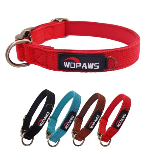 WDPAWS Hundehalsband, Polyester-Baumwoll-Gurtband mit Neopren-Innenseite, Schnellverschluss, bronzefarbene Schnalle für große Hunde, Rot, Größe L von WDPAWS