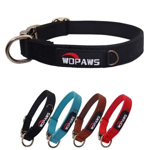 WDPAWS Hundehalsband, Polyester-Baumwoll-Gurtband mit Neopren-Innenseite, Schnellverschluss, bronzefarbene Schnalle für große Hunde, Schwarz, Größe L von WDPAWS