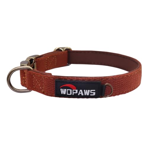 WDPAWS Hundehalsband, Polyester-Baumwoll-Gurtband mit Neopren-Innenseite, Schnellverschluss, bronzefarbene Schnalle für kleine, mittelgroße Hunde (Braun, M) von WDPAWS