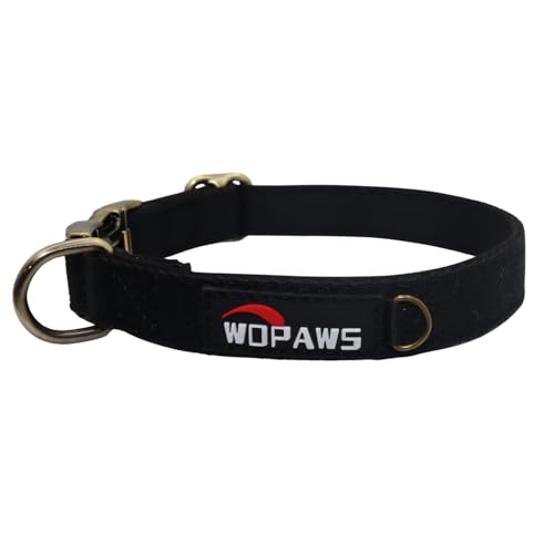 WDPAWS Hundehalsband, Polyester-Baumwoll-Gurtband mit Neopren-Innenseite, Schnellverschluss, bronzefarbene Schnalle für kleine, mittelgroße Hunde (Schwarz, M) von WDPAWS