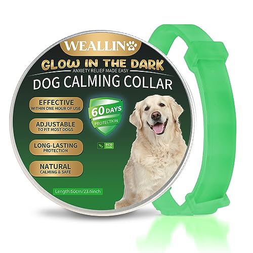 WEALLIN Beruhigungshalsband Für Hunde, Leuchtendes Sicherheitsglühen Beruhigendes Hundehalsband, Verstellbares & Wasserfestes Pheromon Anti-Angst Beschwichtigungshalsband (1er Pack), Grün von WEALLIN