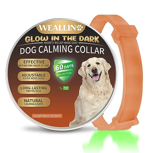 WEALLIN Beruhigungshalsband Für Hunde, Leuchtendes Sicherheitsglühen Beruhigendes Hundehalsband, Verstellbares & Wasserfestes Pheromon Anti-Angst Beschwichtigungshalsband (1er Pack), Orange von WEALLIN