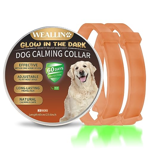 WEALLIN Beruhigungshalsband Für Hunde, Leuchtendes Sicherheitsglühen Beruhigendes Hundehalsband, Verstellbares & Wasserfestes Pheromon Anti-Angst Beschwichtigungshalsband (2er Pack), Orange von WEALLIN