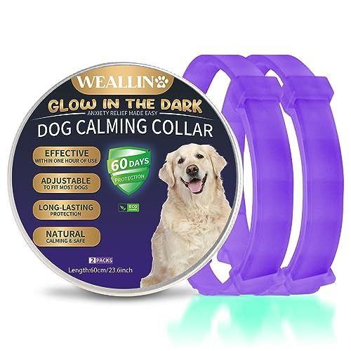 WEALLIN Beruhigungshalsband Für Hunde, Leuchtendes Sicherheitsglühen Beruhigendes Hundehalsband, Verstellbares & Wasserfestes Pheromon Anti-Angst Beschwichtigungshalsband (2er Pack), Violett von WEALLIN