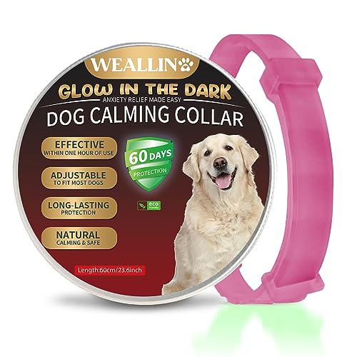 WEALLIN Beruhigungshalsband Für Hunde, Leuchtendes Sicherheitsglühen Beruhigendes Hundehalsband, Verstellbares & Wasserfestes Pheromon Anti-Angst Beschwichtigungshalsband (1er Pack), Heißes Rosa von WEALLIN