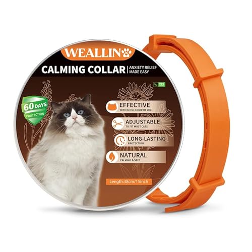 WEALLIN Katze Beruhigende Halsband, Anti-Angst-Pheromon Beruhigende Halsband Für Katzen, Sichere Und Wirksam, Einstellbare & Wasserdicht Beruhigende Katze Halsband(1er-Pack), Orange von WEALLIN