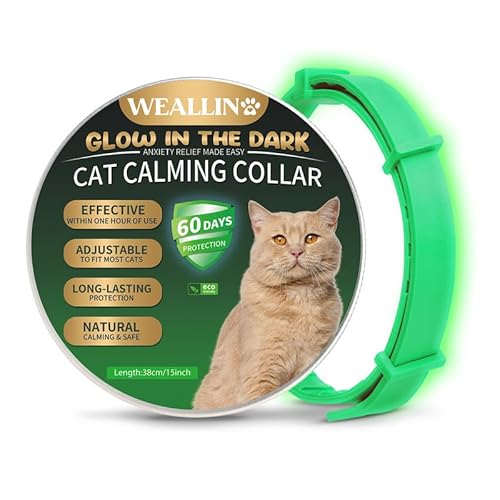 WEALLIN Katze Beruhigende Halsband, Leuchtendes Sicherheitsglühen Beruhigende Halsband Für Katzen, Einstellbare & Wasserdicht Anti-Angst-Pheromon Beruhigende Katze Halsband(1er-Pack), Grün von WEALLIN