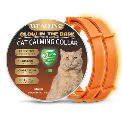 WEALLIN Katze Beruhigende Halsband, Leuchtendes Sicherheitsglühen Beruhigende Halsband Für Katzen, Einstellbare & Wasserdicht Anti-Angst-Pheromon Beruhigende Katze Halsband(2er-Pack), Orange von WEALLIN