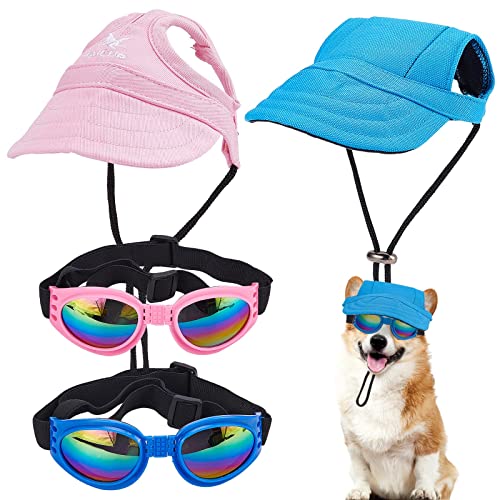 WEBEEDY 2 Set Hunde-Baseballkappen für kleine Hunde Hundemützen mit Sonnenbrille Hut Hundecap mit Ohrlöchern für Welpen Haustier Haustiermütze und Schutzbrille für Kleine und Mittlere Hunde von WEBEEDY