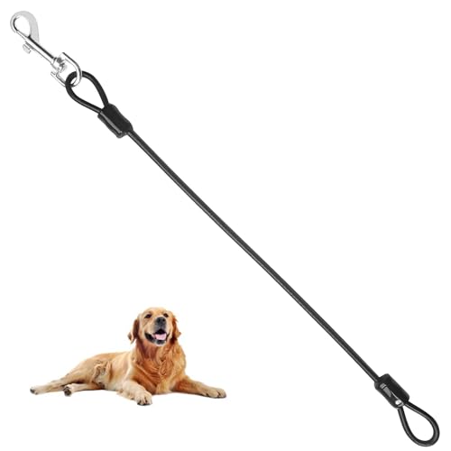 Hundeleine Chew Proof, Hundeleine Kette, Hundekette Leine Bissfest,Hundeleine für große und mittelgroße Hunde,Führleine für Hunde,Dog Leine aus Draht,48 cm/19 Zoll Hundekettenleine von WEEVDRIE