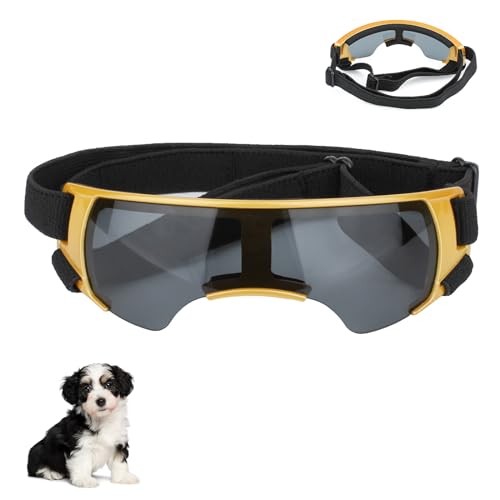 Sonnenbrille für Hunde, Anti-UV-Hunde-Sonnenbrille, verstellbarer UV-Schutz, Welpen-Outdoor-Brille, bietet Schutz für die Augen des Haustiers, zum Autofahren/Outdoor-Aktivitäten (Gold) von WEEVDRIE