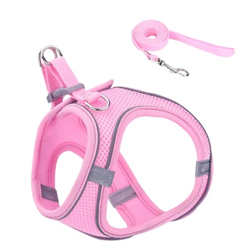 weiting Ausbruchssicheres Katzengeschirr - Einstellbares Katzen Westen Geschirr - Haustier Zubehör Für Sicherheit Training Reisen Wandern Rucksack Outdoor Abenteuer weiting Ausbruchssicheres Katzengeschirr - Einstellbares Katzen Westen Geschirr - Haustier Zubehör Für Sicherheit Training Reisen Wandern Rucksack Outdoor Abenteuer von WEITING