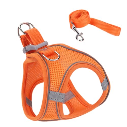 weiting Katzen Spaziergeschirr - Einstellbares Katzen Westen Geschirr | Haustier Zubehör Für Sicherheit Training Reisen Wandern Rucksack Outdoor Abenteuer weiting Katzen Spaziergeschirr - Einstellbares Katzen Westen Geschirr | Haustier Zubehör Für Sicherheit Training Reisen Wandern Rucksack Outdoor Abenteuer von WEITING