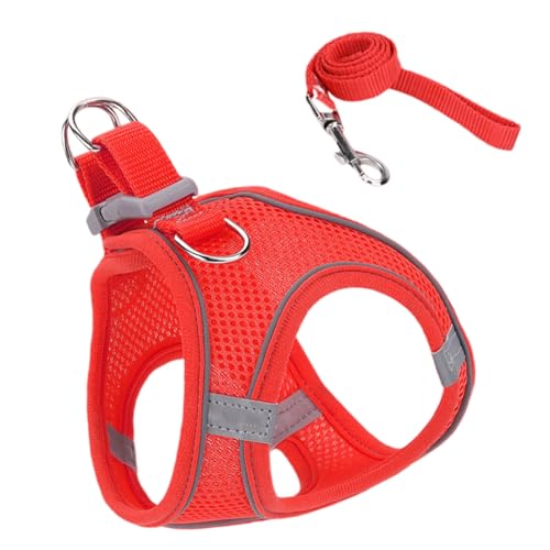 weiting Katzen Spaziergeschirr - Katzengeschirr mit Leine,Größen S M L Für Wanderungen Training Reisen Outdoor weiting Katzen Spaziergeschirr - Katzengeschirr mit Leine,Größen S M L Für Wanderungen Training Reisen Outdoor von WEITING