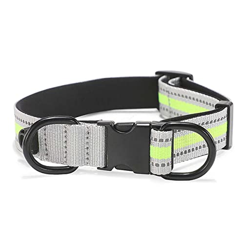 Reflektierende Linie Hundehalsband Personalisierte Gravur Name Nummer Metall Schnalle, Robustes Nylon Verstellbares Hundehalsband für Kleine Mittlere Große Hunde von WEIWU