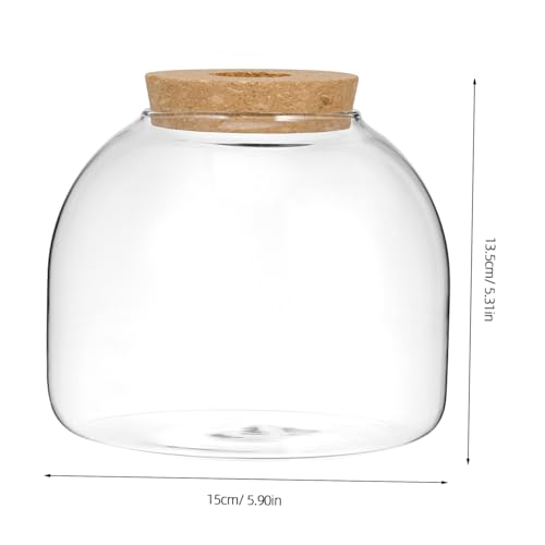 WEKAMOS Terrarium mit Holzstopfen Mikrolandschaft Behälter für Hydrokulturpflanzen Dekoratives Glasgefäß für Moos für Wohnzimmer Büro und Schreibtischgestaltung WEKAMOS Terrarium mit Holzstopfen Mikrolandschaft Behälter für Hydrokulturpflanzen Dekoratives Glasgefäß für Moos für Wohnzimmer Büro und Schreibtischgestaltung von WEKAMOS