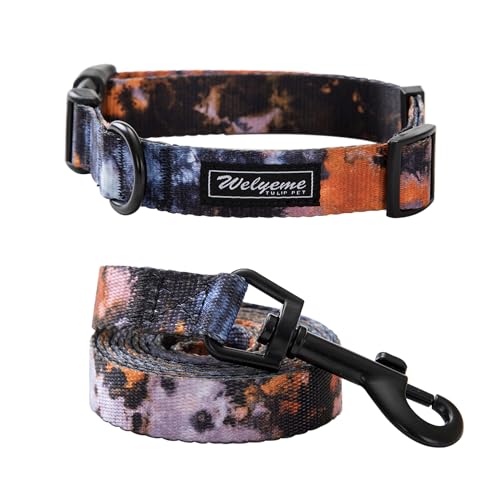 Welyeme Hundehalsband und Leine, Set für XS, kleine, mittelgroße und große Hunde, Regenbogenstreifen, Batik-Hundehalsband (L, Schwarz) von WELYEME