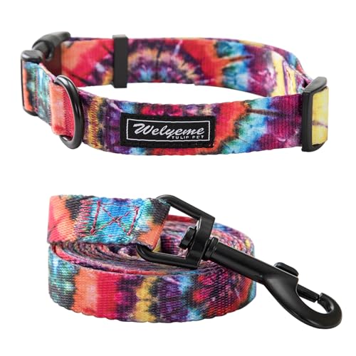 Welyeme Hundehalsband und Leine, Set für XS, kleine, mittelgroße und große Hunde, Regenbogenstreifen, Batikfärbung (L (40 - 55 cm) von WELYEME