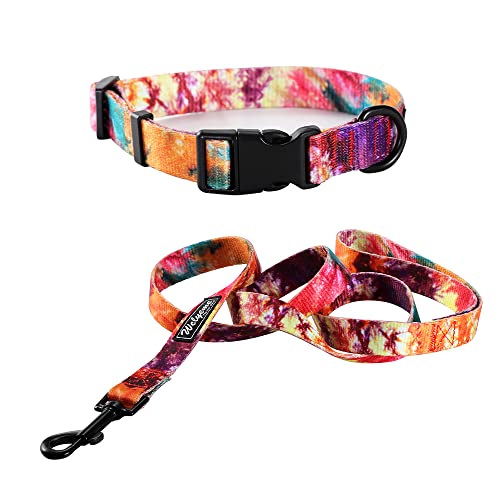 Welyeme Hundehalsband und Leine Set für XS, kleine, mittelgroße und große Hunde, Regenbogenstreifen, Batikfärbung, XS (19,1 - 24,9 cm)) von WELYEME