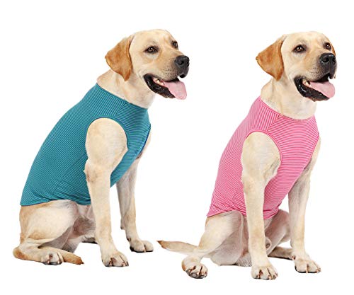 WEONE Sommer-T-Shirts für Hunde, gestreift, Baumwolle, atmungsaktiv, weich, Basic-Kleidung für kleine, mittelgroße und große Hunde, Größe XXL von WEONE