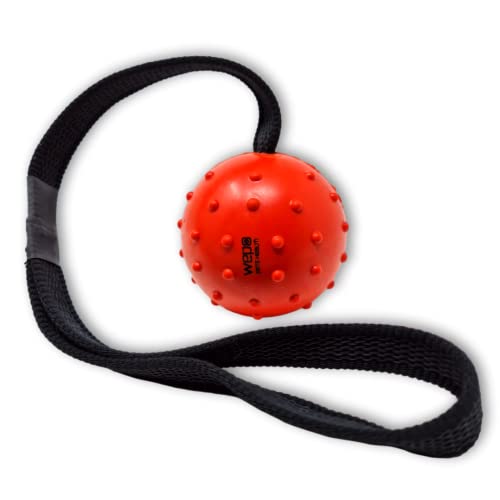 WEPO Hundespielzeug Ball Rot - Ball mit Schnur - Outdoor Spielzeug Hund - Apportierspielzeug Hund - Hunde Wurfball für extra lange Würfe - Für Welpen, kleine & große Hunde von WEPO