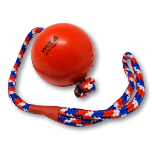 WEPO Hundespielzeug Ball mit Seil Rot Ø 8cm - Wurfspielzeug für Hunde - Dog Toys - Ziehspielzeug Hund - Gummiball Hund zum Trainieren & Apportieren - Für große, mittelgroße Hunde von WEPO